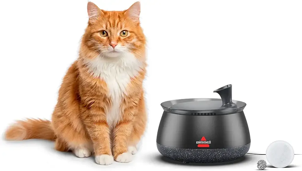 BISSELL HydrateWell Cat Water Fountain, 91oz, 4408 | Integrated pump; SlimeShield technology; 5-layer filtration; ultra-quiet operation; automatic dispensing