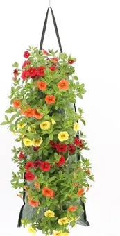 Wandhanger met Minipetunia (Calibrachoa) H 50 cm