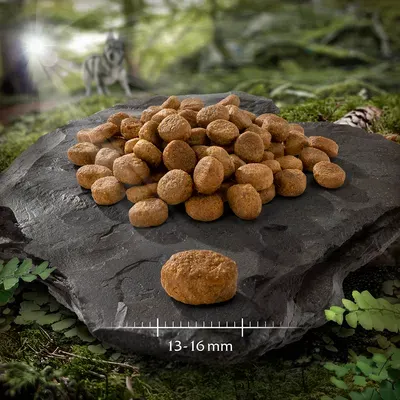 Lot mixte Wolf of Wilderness pour chien lot Elements : poisson, agneau, bœuf, canard (4 x 1 kg)