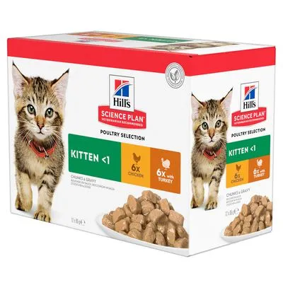 Pack bi-nutrition : 3 kg de croquettes + sachets Hill's Science Plan Kitten pour chaton