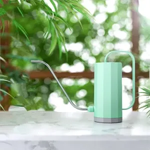 Annaffiatoio per piante da interno con beccuccio lungo, liscio e antigoccia, perfetto per piante da interno e da esterno (verde)