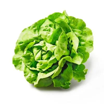 Da komm ich her! Häuptelsalat