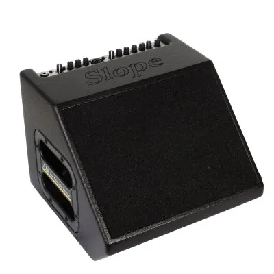 AER COMPACT 60W SLOPED CABINET- 2 CHANNEL ACOUSTIC GUITAR AMP COMBO W/MIC INPUT AND DFX