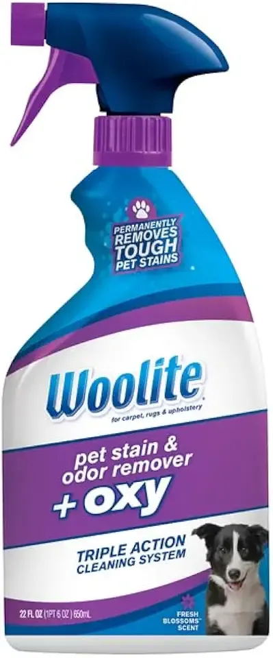 Bissell Woolite Cat/Dog Odor/Stain Remover 22 oz.