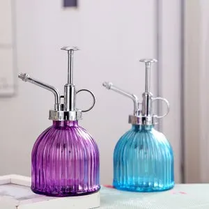 2 pezzi Bottiglia spray per irrigazione in vetro trasparente, Mister of plants con pompa superiore in plastica, piccolo annaffiatoio in vetro