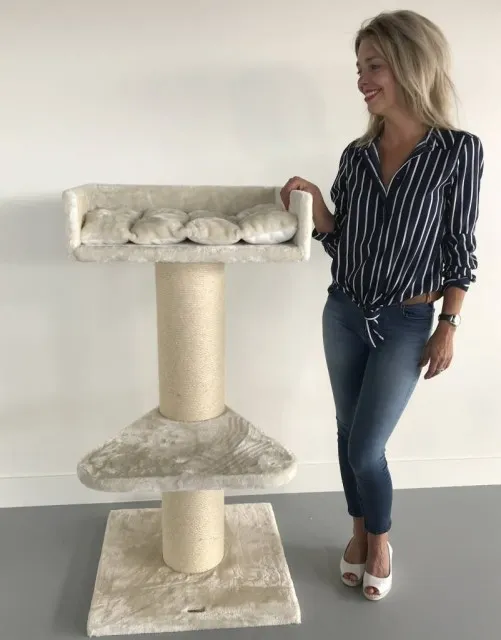 Maine Coon Lounge Cream