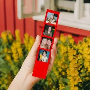 Bilderemse | Enkel fire rød