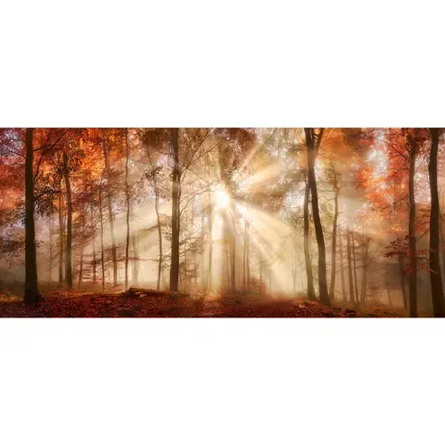 Keilrahmenbild HERBSTWALD - 140x60 cm