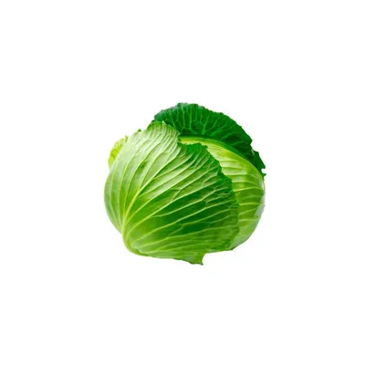 repolho verde unidade