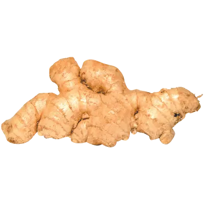 Ginger
