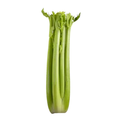 Celery Stalks