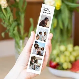 Bilderemse | Bildedeling