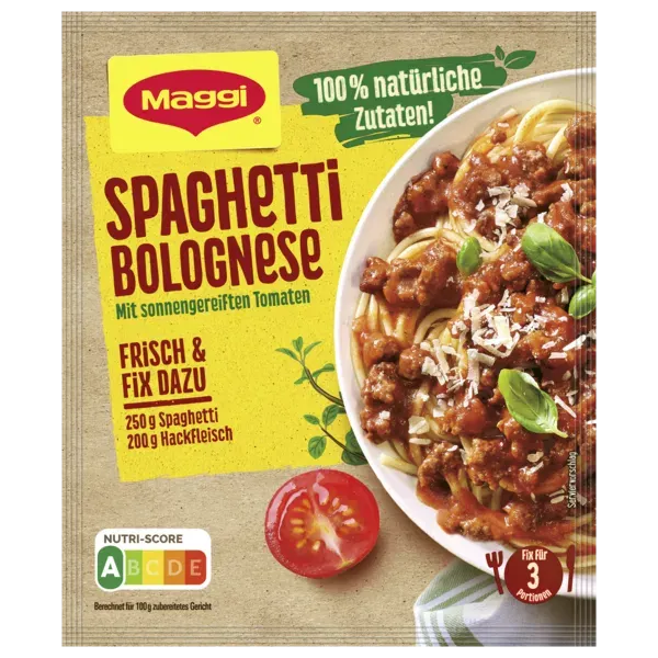 Maggi Fix verschiedene Sorten