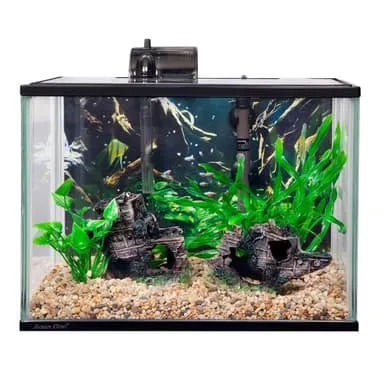 Aqua One Tropical Starter Kit