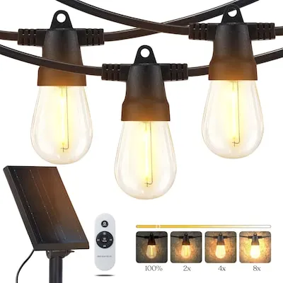 24-ft Plug-in Black Outdoor String Light with 12 LED Edison Bulbs