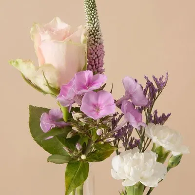 Brievenbusbloemen | Plankje Fleurig