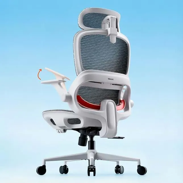 SIHOO B100 Mesh Office Chair, Comfy Ergonomic Office Chair | Mesh Office Chair with Adaptive Lumbar Support, Desk Chair with Wide Hea…