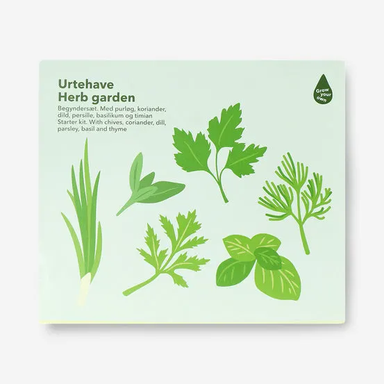 Dyrkesett for urtehage - Gressløk, koriander, dill, persille, basilikum og timian