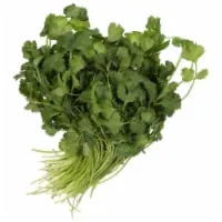 Organic Cilantro