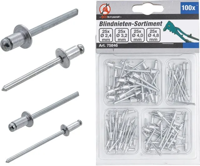 Assortimento rivetti a strappo | Ø 2,4 - 4,8 mm | 100 pz.
