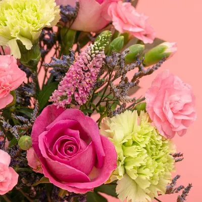 Brievenbusbloemen | Klassiek