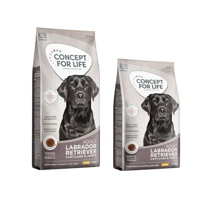 Croquettes Concept for Life pour chien 12 kg + 1,5 kg offert !