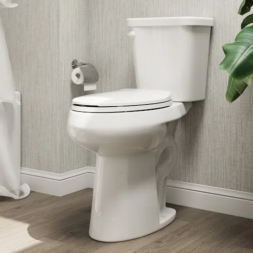 21 inch Extra Tall 2-Piece 1.28 GPF Single Flush Elongated Toilet Seat Included