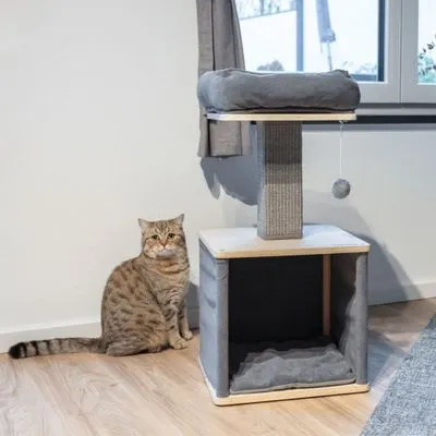 Kerbl Pet Arbre à chat Noah II