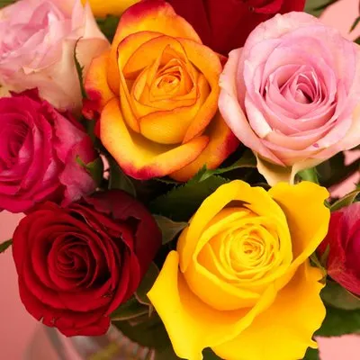 Brievenbusbloemen | Rozen | Warme Tinten