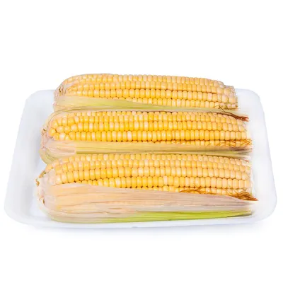 milho verde bandeja com 3 unidade
