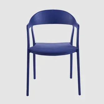 Classic Living Hugo Resin Chair With Arms Ink Horizon