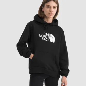 The North Face Womens Evolution Half-Dome Hoody