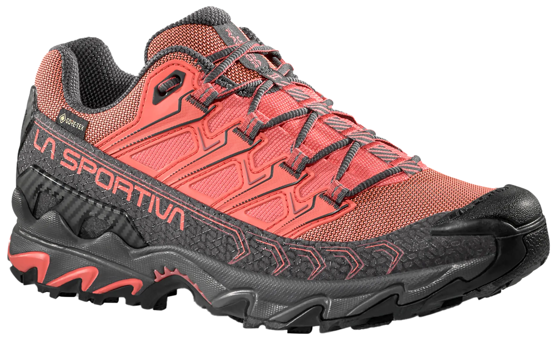 Ultra Raptor II GTX W's Hikingsko