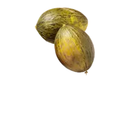 Piel De Sapo Meloen