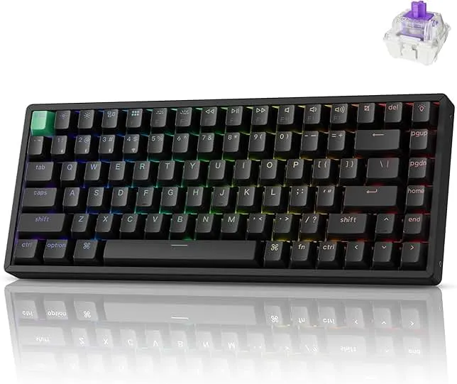 Keychron K2 HE Rapid Trigger Wireless Custom Keyboard with Hall Effect Gateron Double-Rail Magnetic Switch, QMK 2.4 GHz Bluetooth 5.2 RGB Compatible wit…