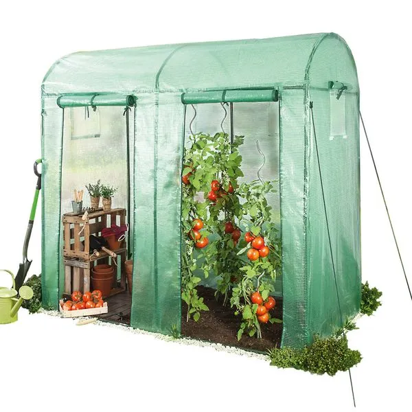 Tomatengewächshaus mit 2 Tore und 4 Fenstern, ca. 200 x 100 x 150/180 cm - Grün