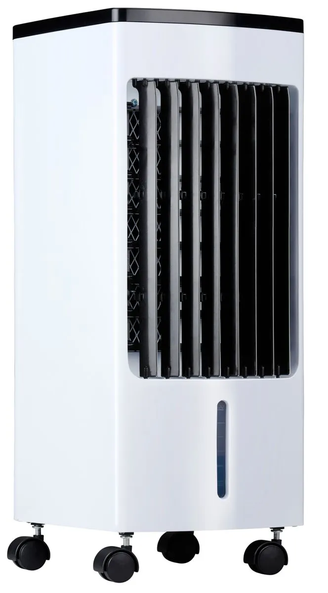 Luftkühler 80W mit 2 Kühlpacks und Fernbedienung