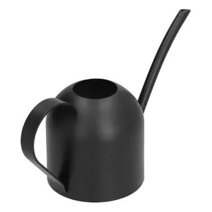 Annaffiatoio 500ML in acciaio inox lungo beccuccio annaffiatoio per interni ed esterni casa p