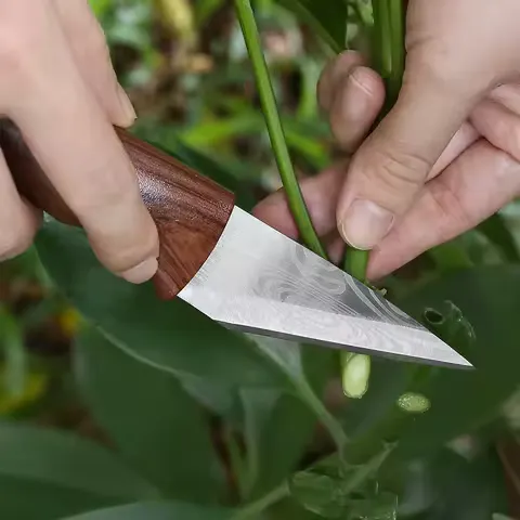 Wooden handle grafting knife with leather shell, suitable for garden grafting/unpacking, etc. Solid wood handle garden hand tool