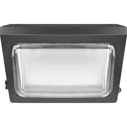 Patriot Lighting® Bronze LED Dusk-to-Dawn Outdoor Security Wall Pack Light