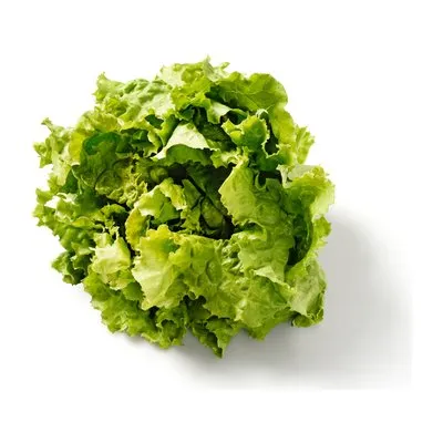 Da komm ich her! Grazer Krauthäuptelsalat