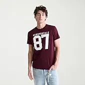 AEROPOSTALE Mens Crew Neck Short Sleeve Classic Fit Graphic T-Shirt