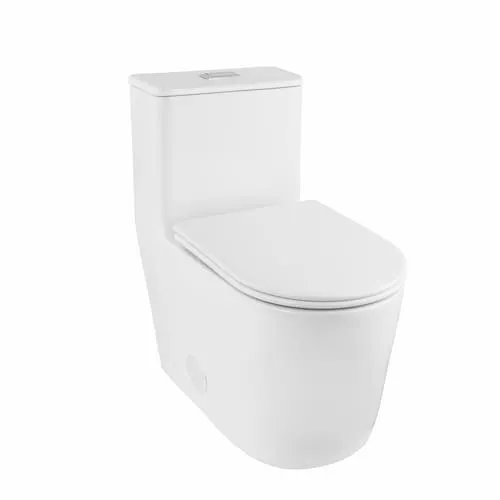 Sherry 1-piece 4/6L GPF Dual Flush Right Height Elongated Toilet in White