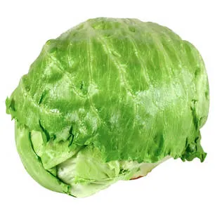 BESTES AUS DER REGION