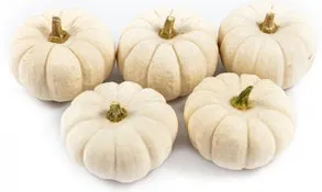 Pompoen (Cucurbita 'Baby Boo') D 6 cm