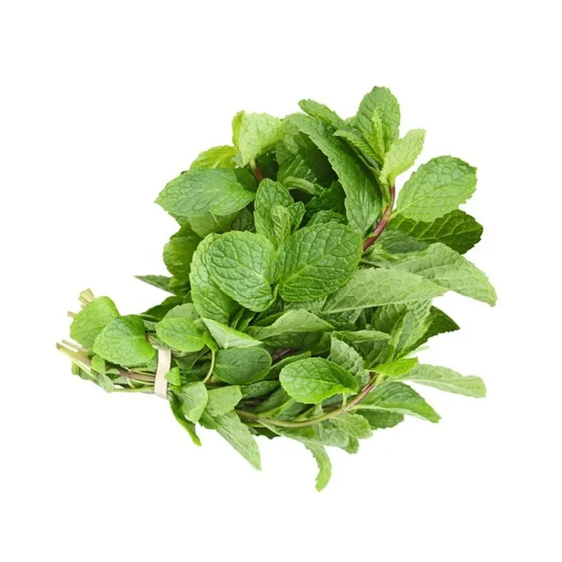 Assorted Herbs, Mint, 0.5oz