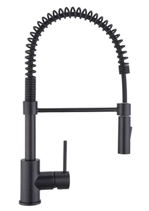 Rubinetto da cucina con doccetta a collo di cigno Tomas nero verniciato opaco DELINIA
