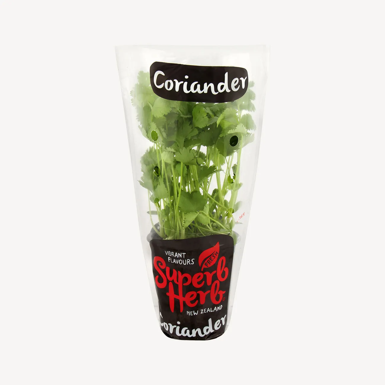 coriander small