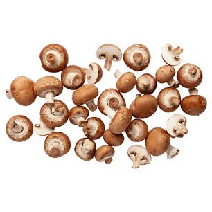 Champignons braun