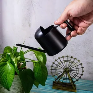 Annaffiatoio in acciaio inox con beccuccio lungo, piccolo annaffiatoio, adatto per piante grasse e fiori, per uso interno ed esterno (300 ml, nero)